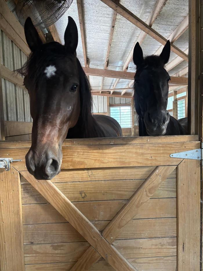 J&M Critter Care - Weldon, IL