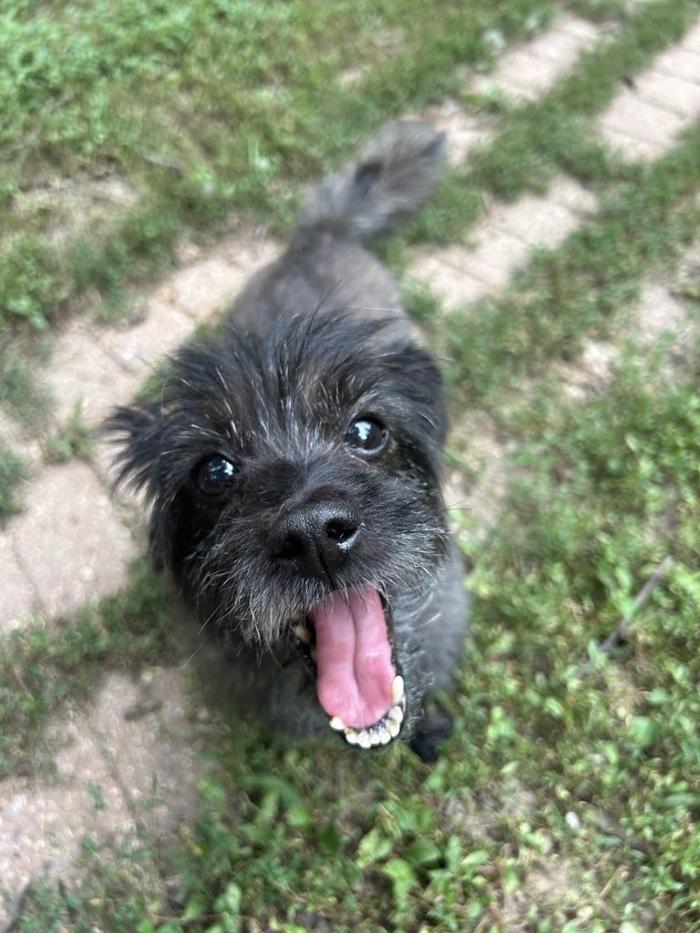 J&M Critter Care - Weldon, IL