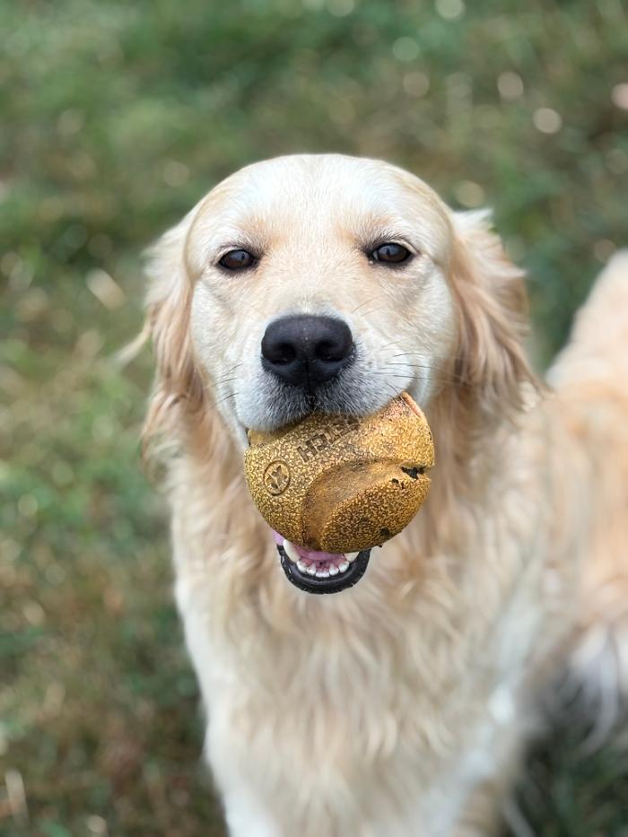 J&M Critter Care - Weldon, IL