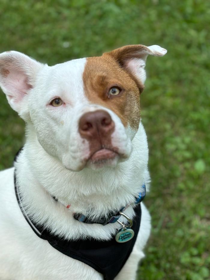 J&M Critter Care - Weldon, IL