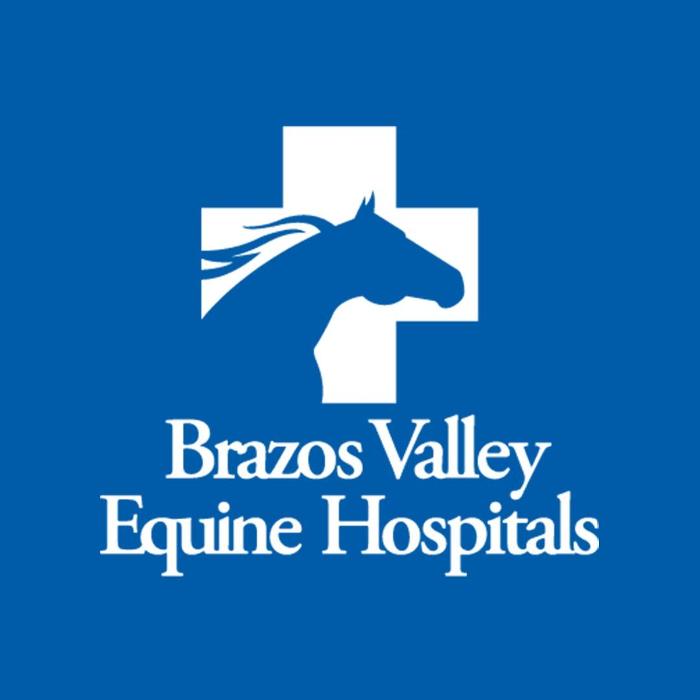 Brazos Valley Equine Hospitals- Outpatient Sports Medicine Logo