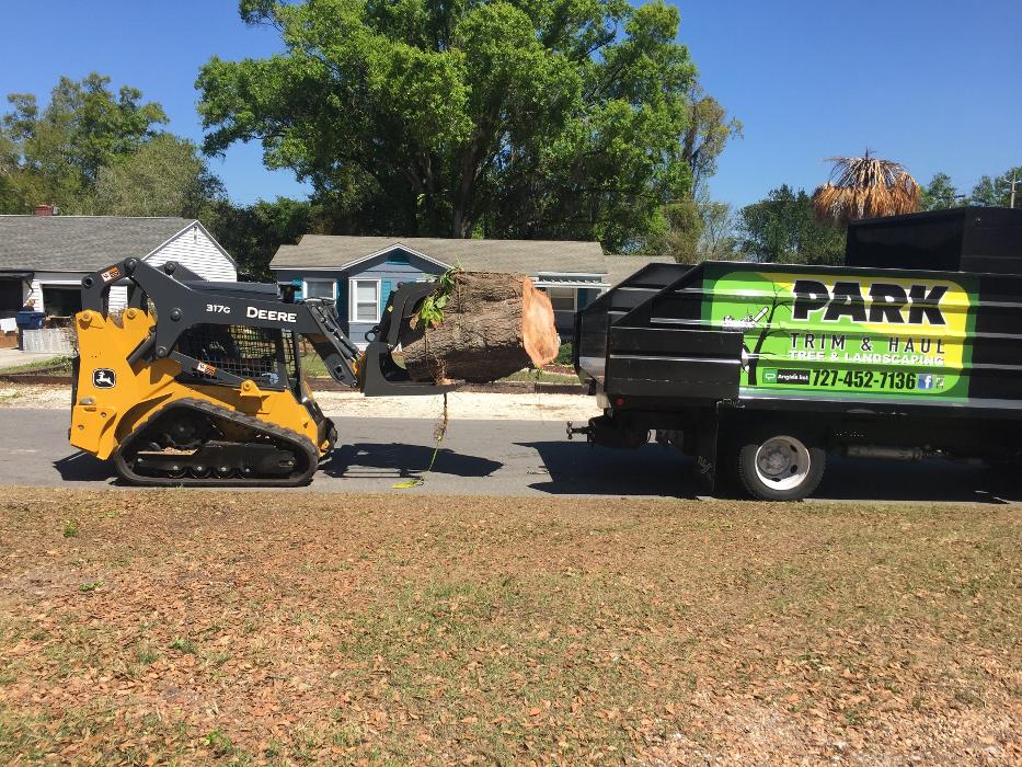 Park Trim & Haul Tree Service Image