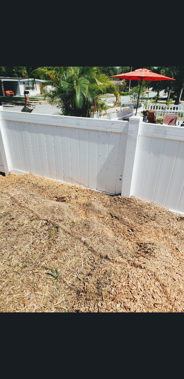 Park Trim & Haul Tree Service Image