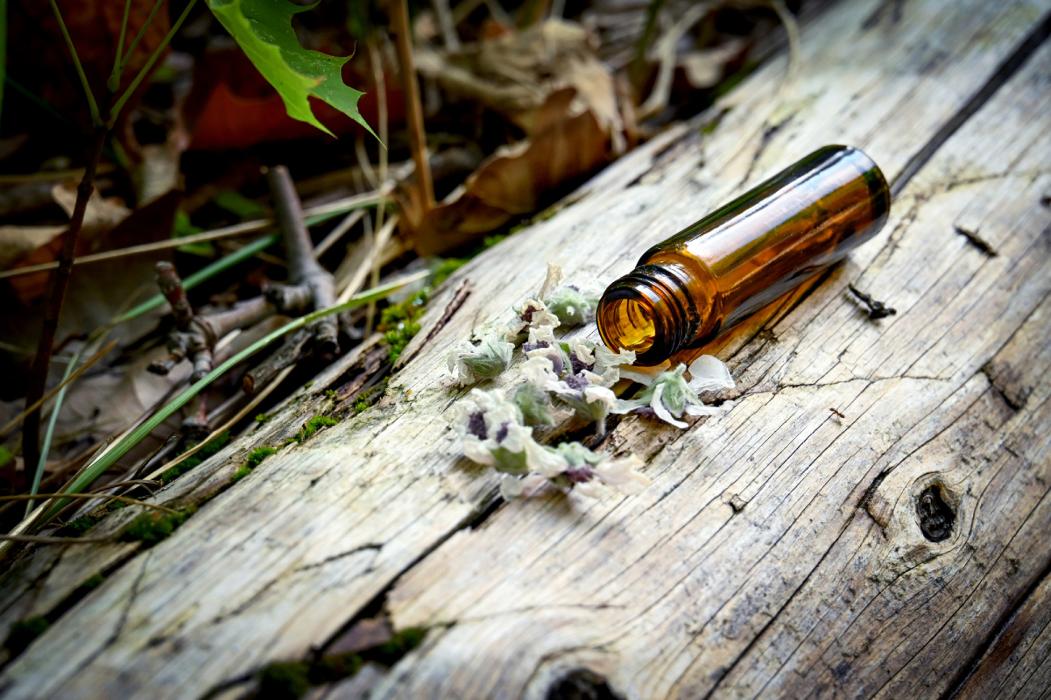 Dr. Yvonne Gergely, Josefsgasse in Mödling