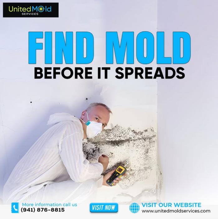 United Mold Services - Fort Myers, FL