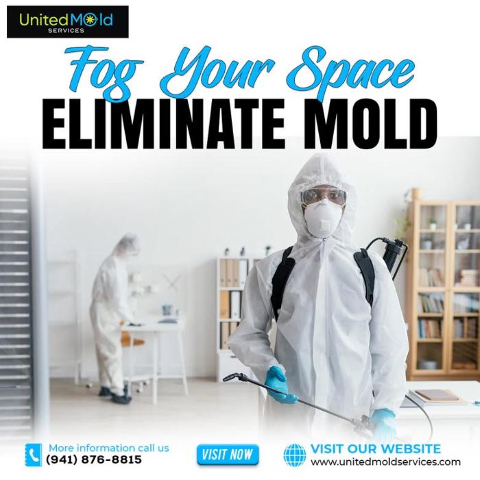 United Mold Services - Fort Myers, FL