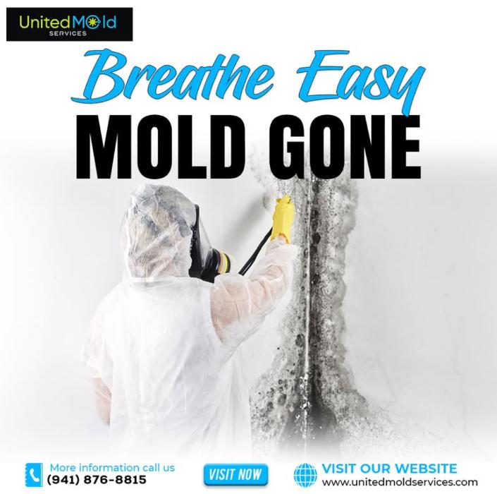 United Mold Services - Fort Myers, FL