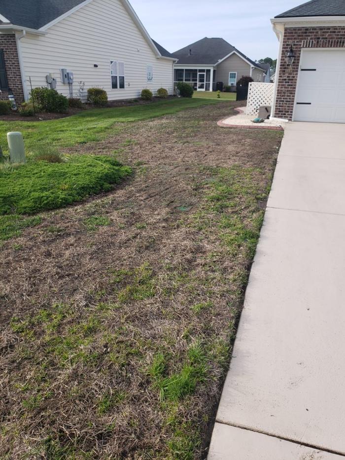 Weed Man Lawn Care