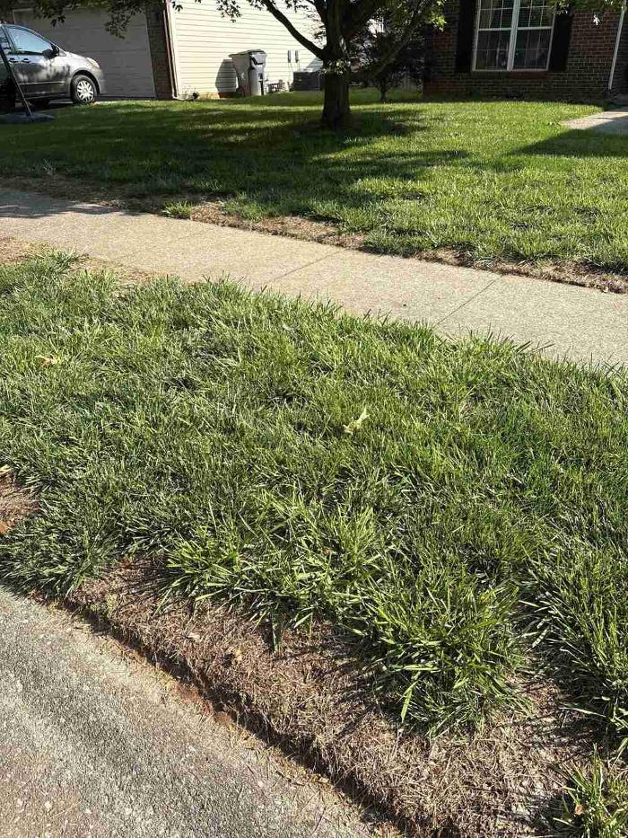 Weed Man Lawn Care