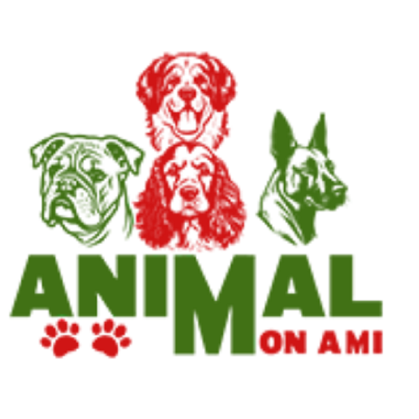 Animal mon ami Dididog dressage animal