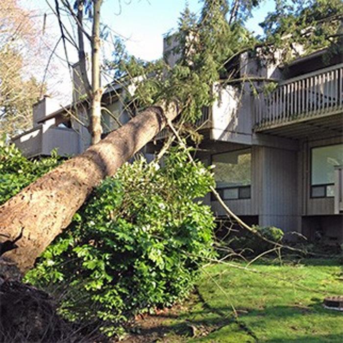 Charter Construction Image