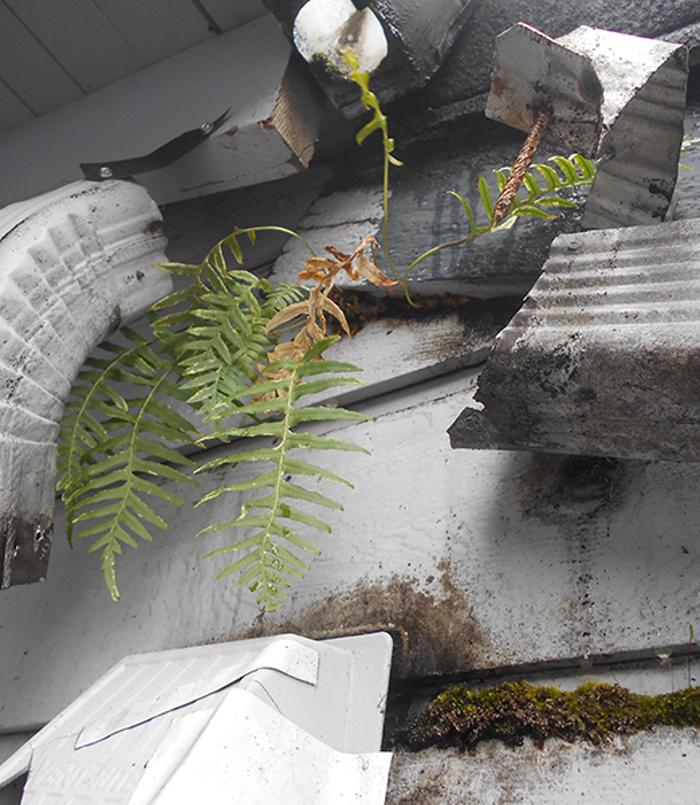 Charter Construction Image