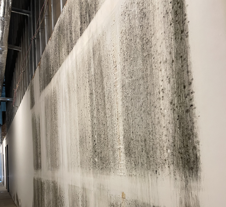 Master Restoration - Pocatello, ID