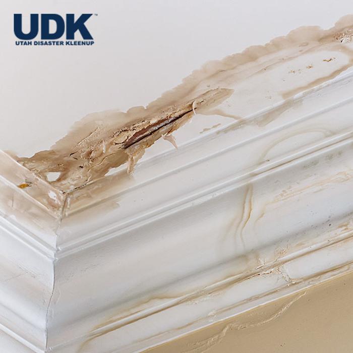 Utah Disaster Kleenup Image