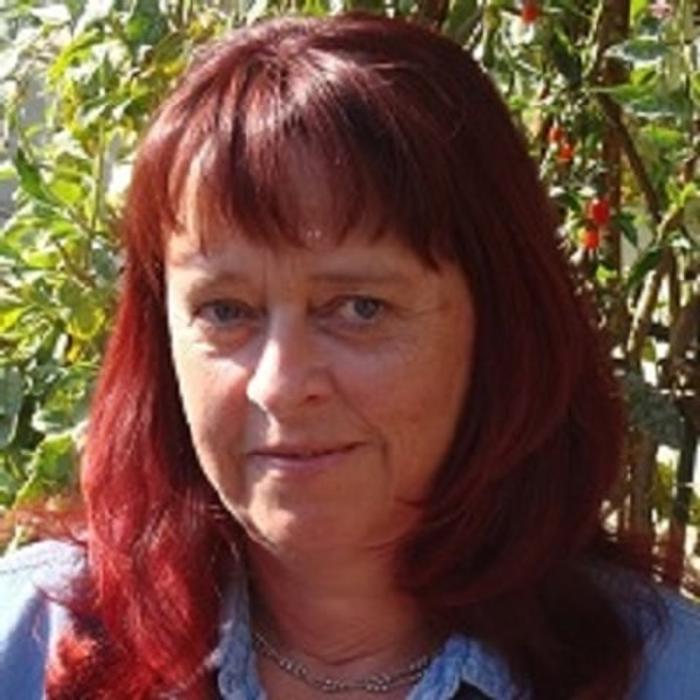 Musikschule Fröhlich - Kordula Schmidt, Brückenweg in Obercunnersdorf