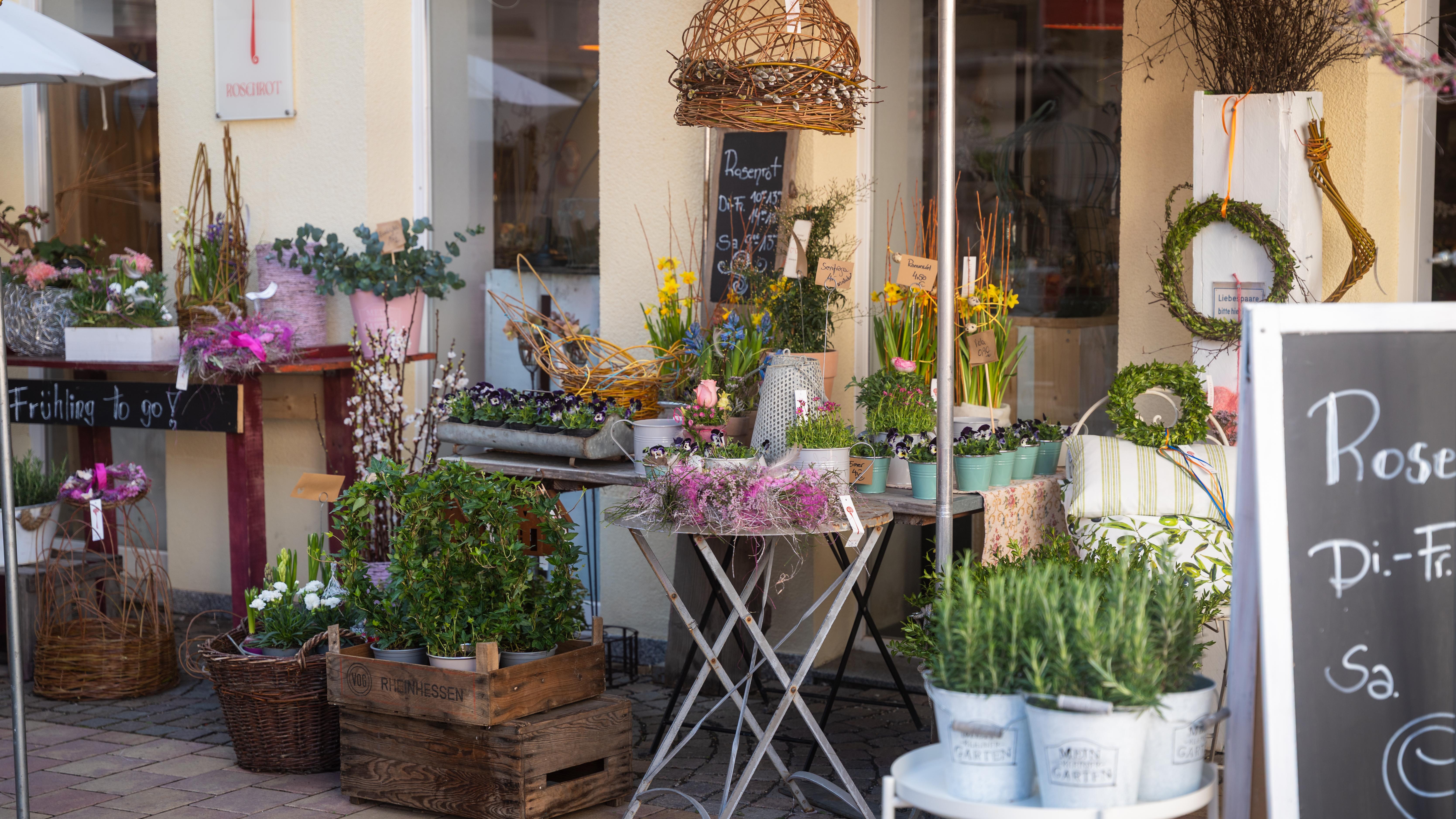 Rosenrot, Theaterstraße in Landau in der Pfalz