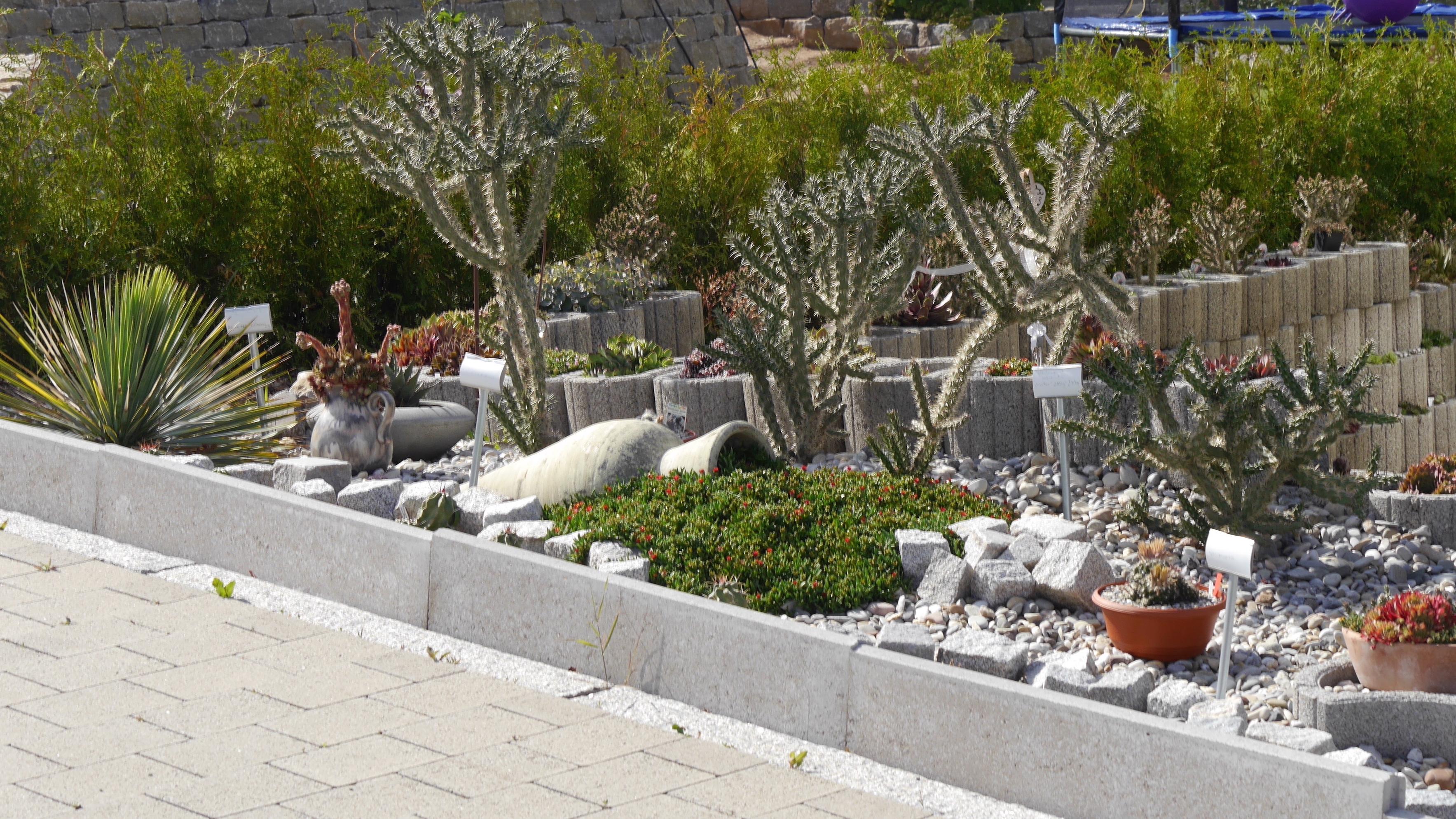 DornenZauber, Orffstraße in Wilhelmsdorf