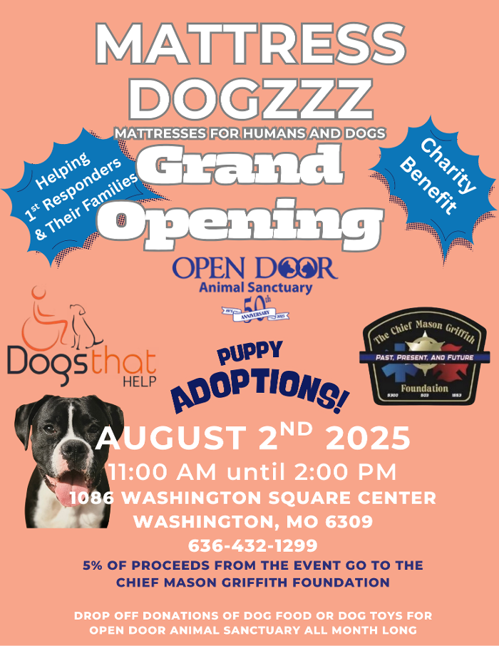 Mattress Dogzzz - Washington, MO