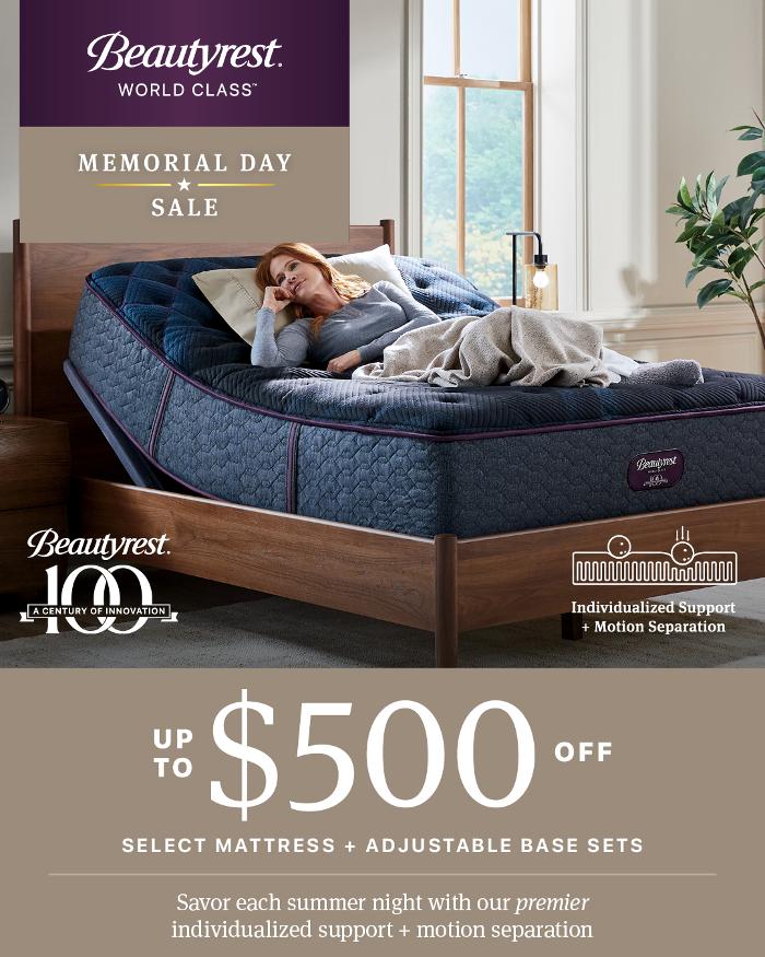 Mattress Dogzzz - Washington, MO