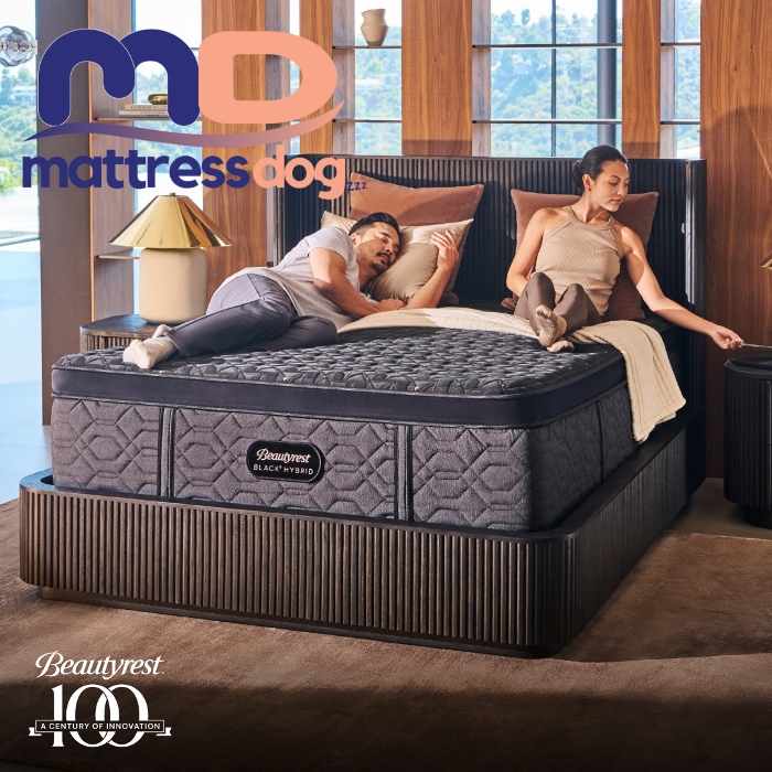 Mattress Dogzzz - Washington, MO