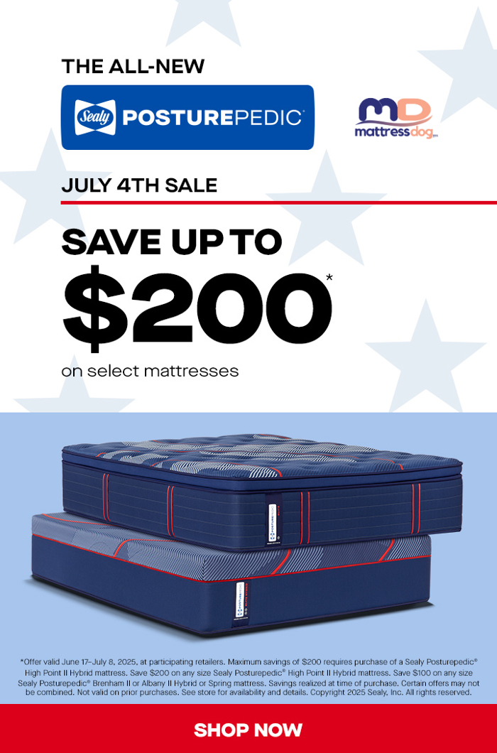 Mattress Dogzzz - Washington, MO