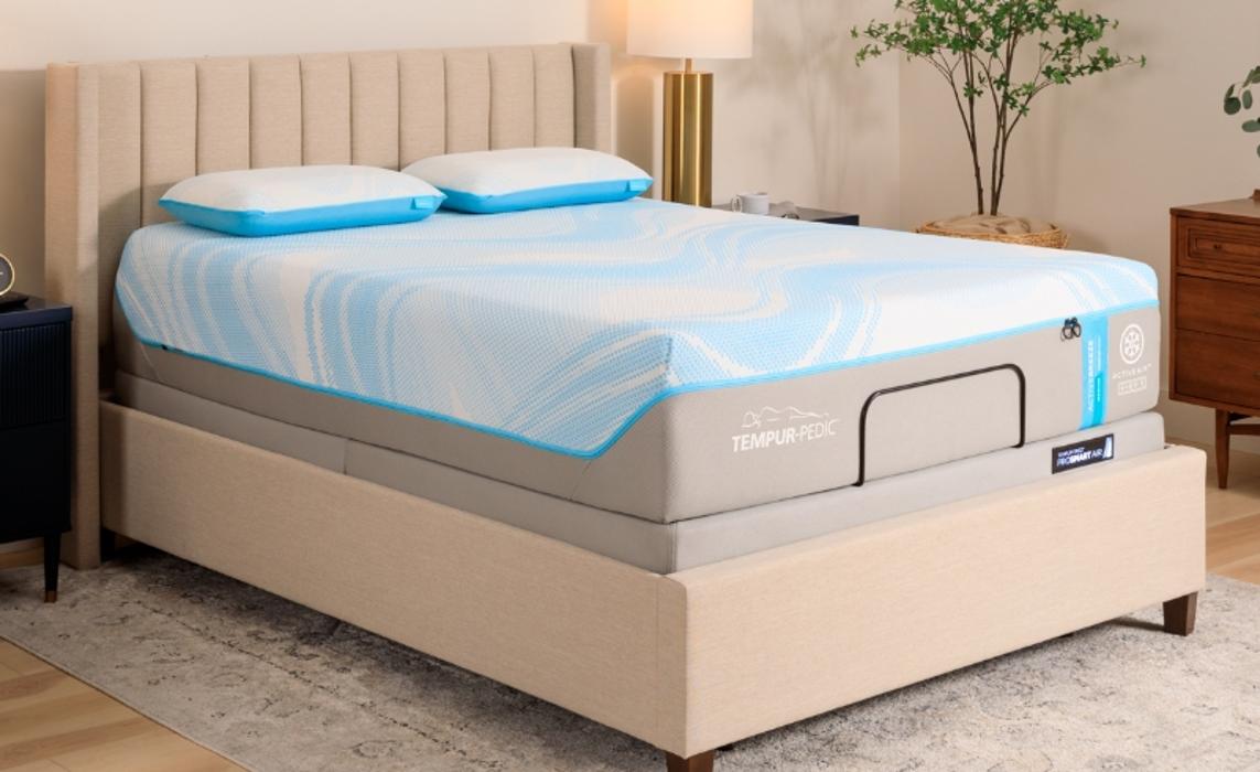 Mattress Dogzzz - Washington, MO