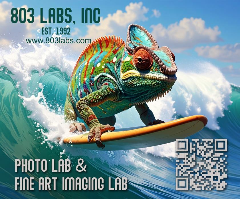 803 Labs, Inc. - Garden City, SC