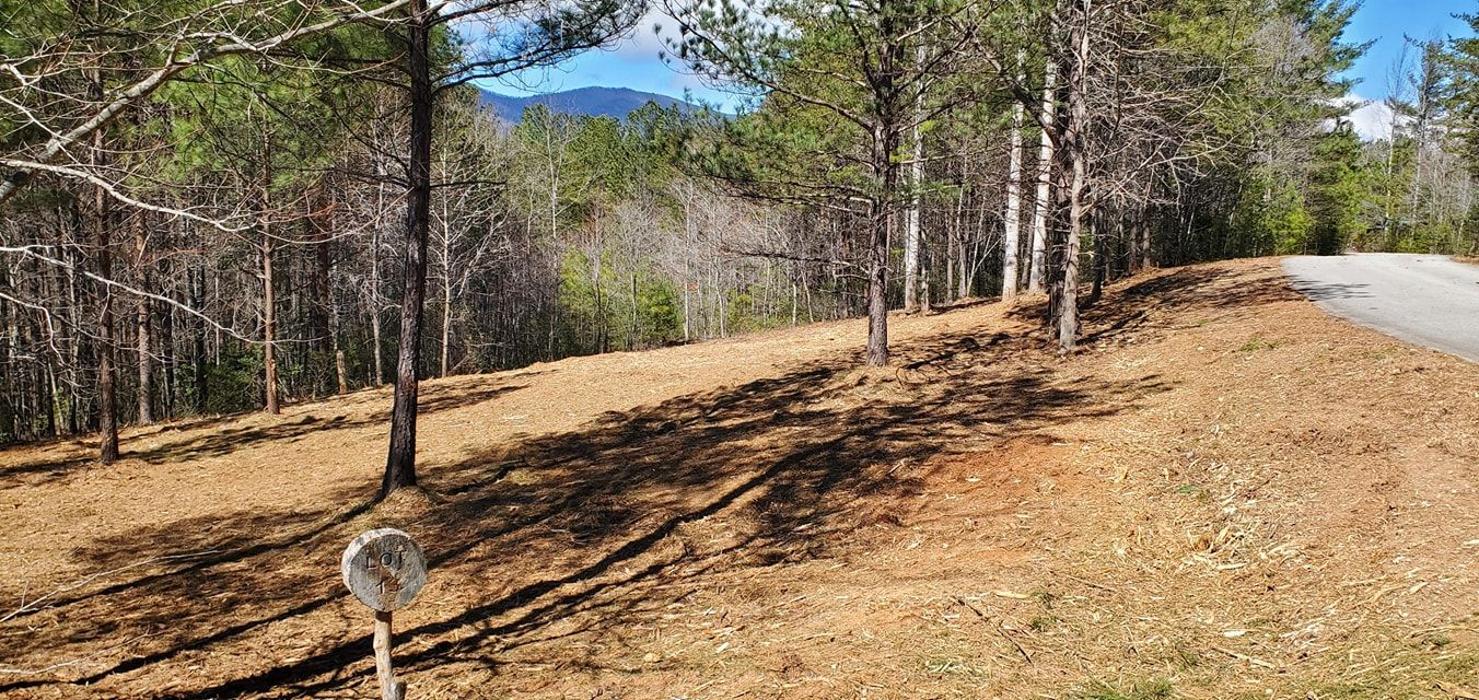 Barked Up Forestry - Maiden, NC