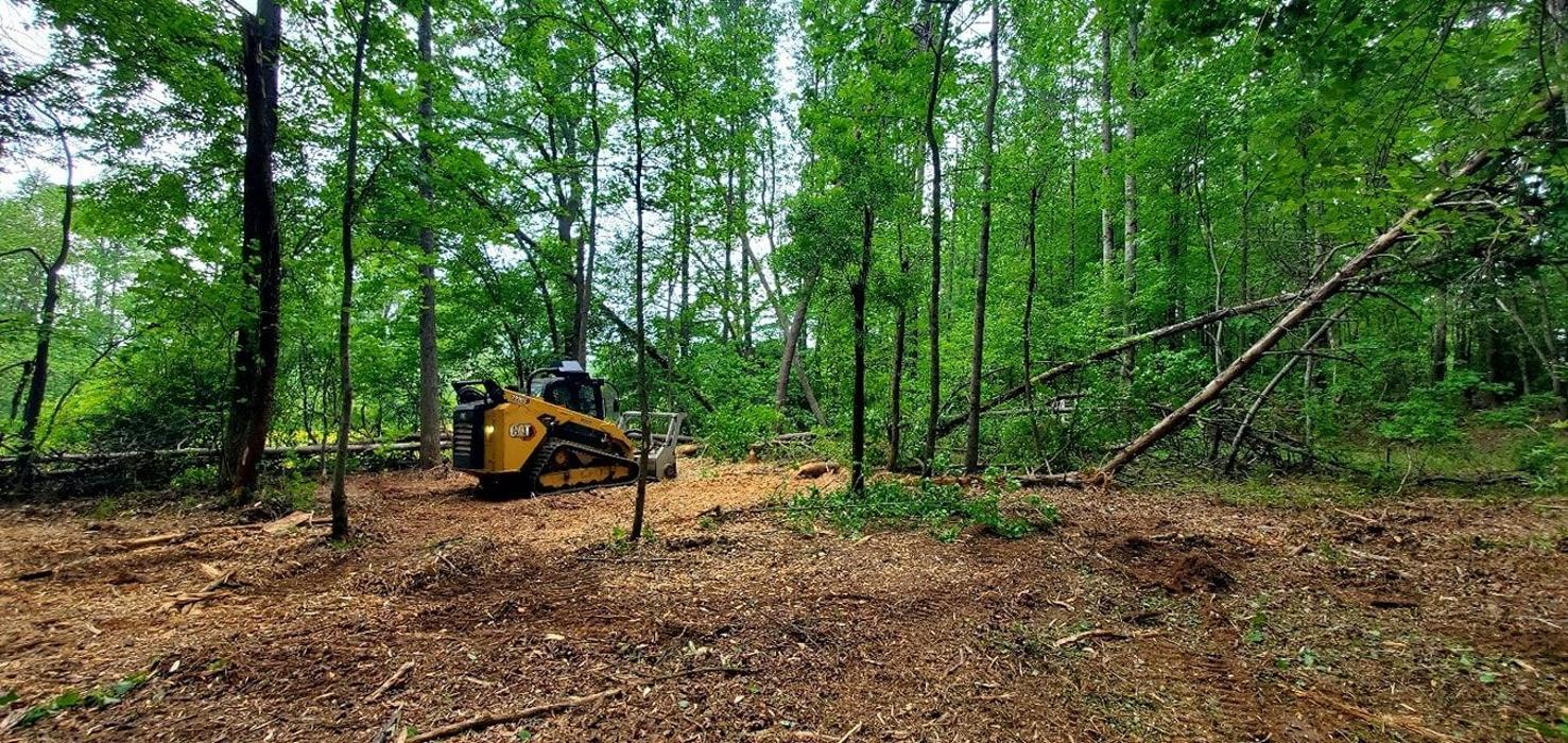 Barked Up Forestry - Maiden, NC
