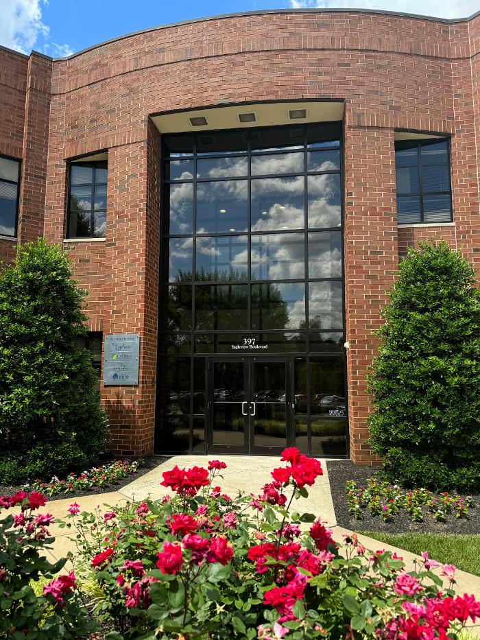 Ellie Mental Health Image