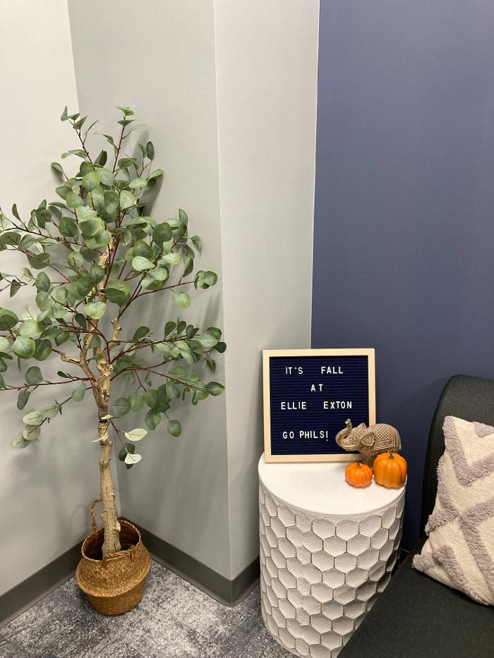 Ellie Mental Health Image