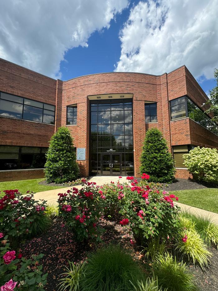 Ellie Mental Health Image