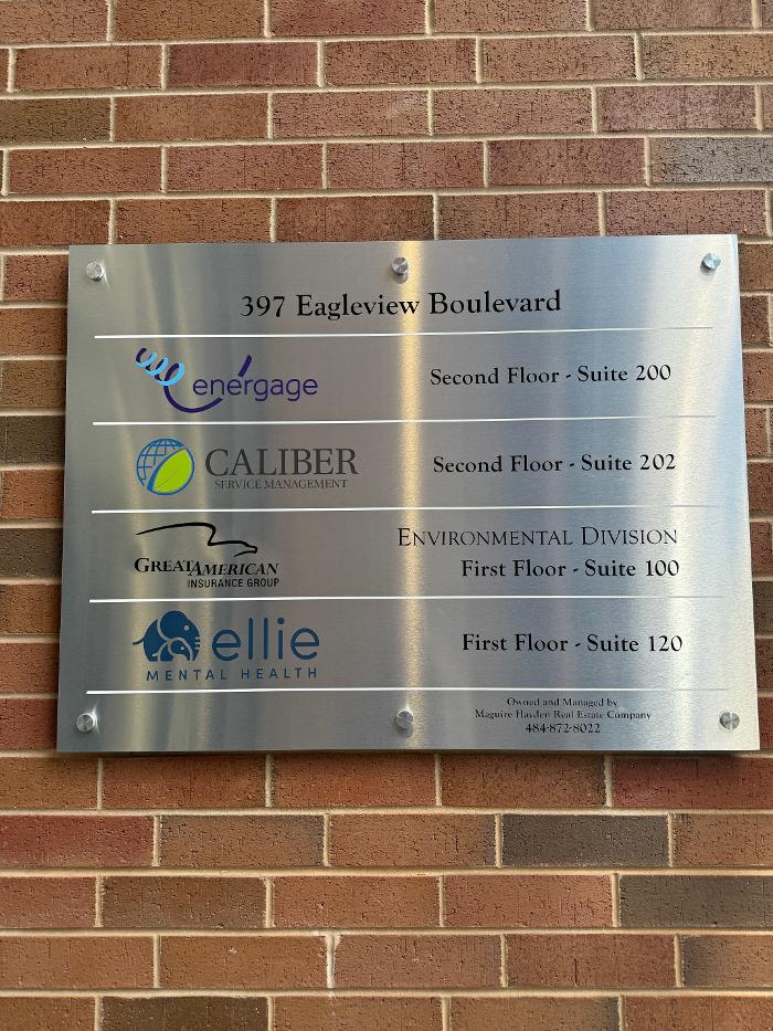 Ellie Mental Health Image