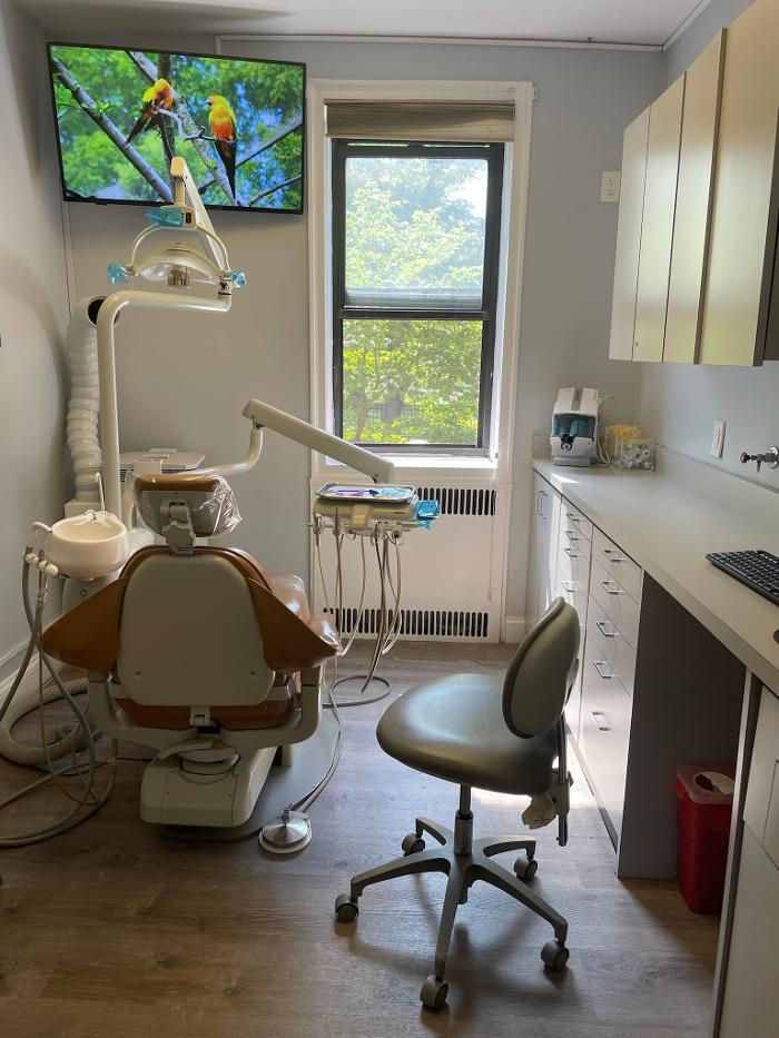 Great Neck Dental Arts - Great Neck, NY