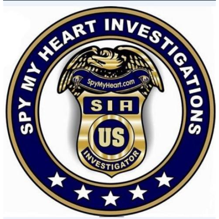Spy My Heart Investigation Agency Image