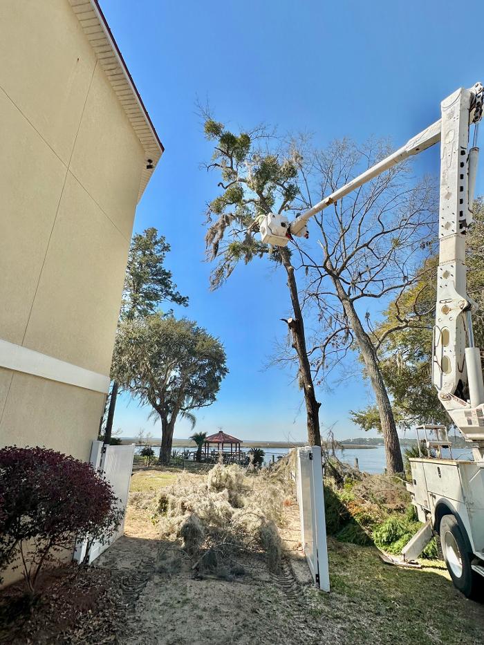 Summit Tree & Land Solutions, LLC Image