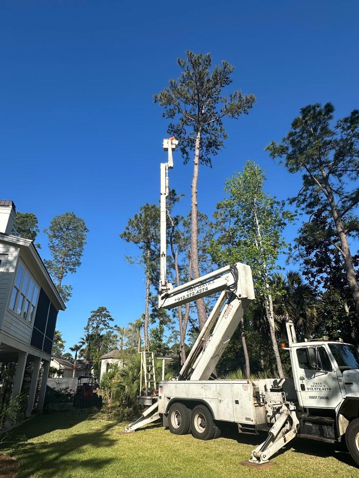 Summit Tree &amp; Land Solutions, LLC Logo