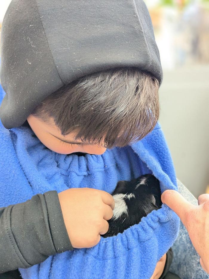 Around the Sun Montessori School Image