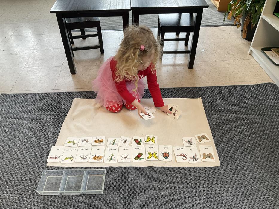 Around the Sun Montessori School Image