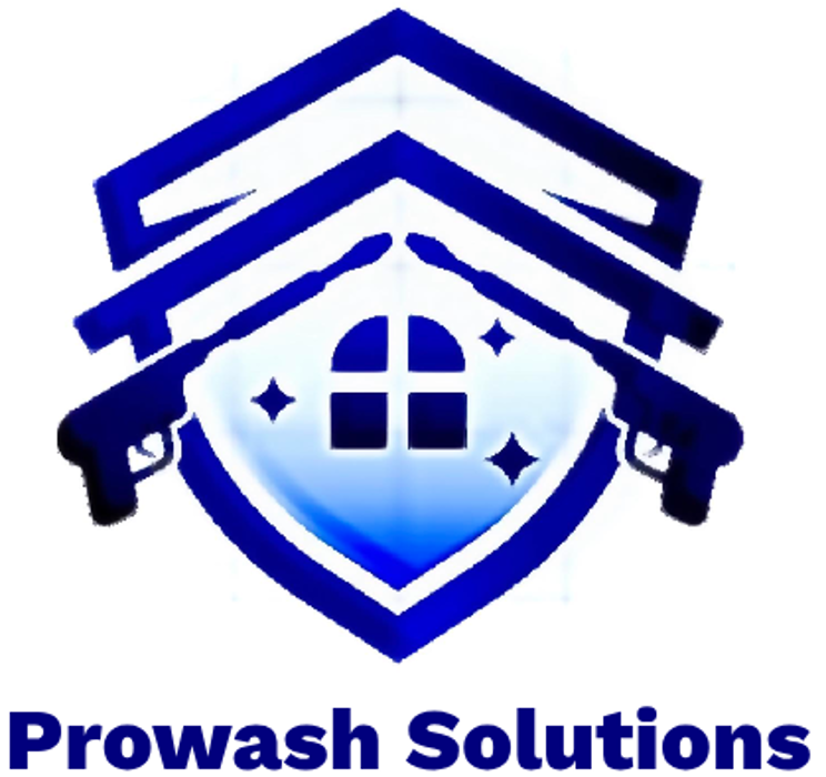 Prowash Solutions - Zionsville, IN