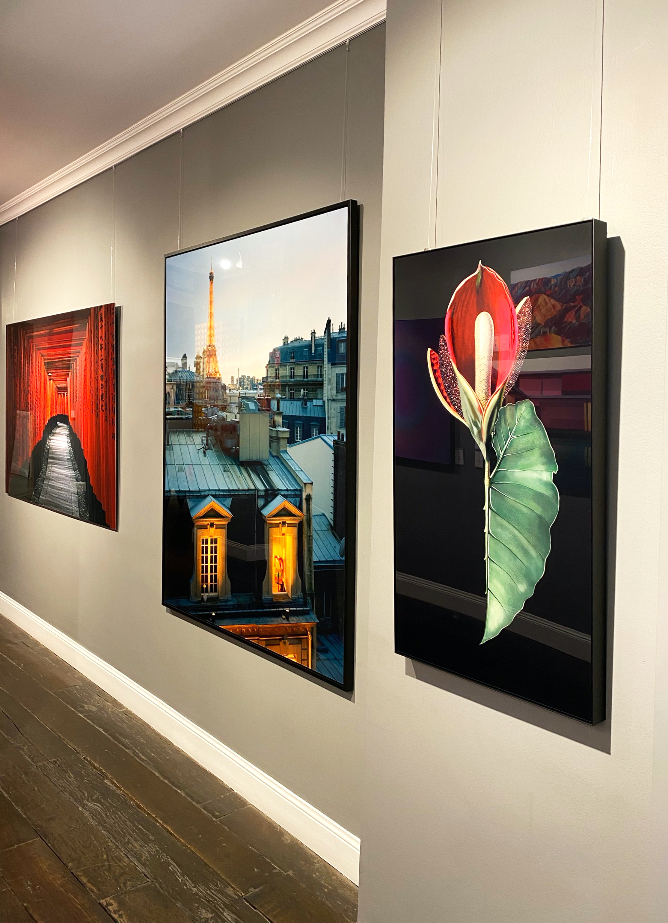 Miniature de la galerie