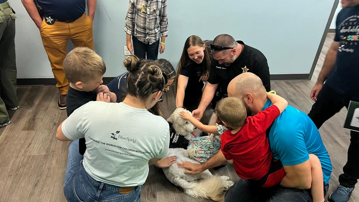 Florida Autism Center St. Augustine, a division of BlueSprig Logo