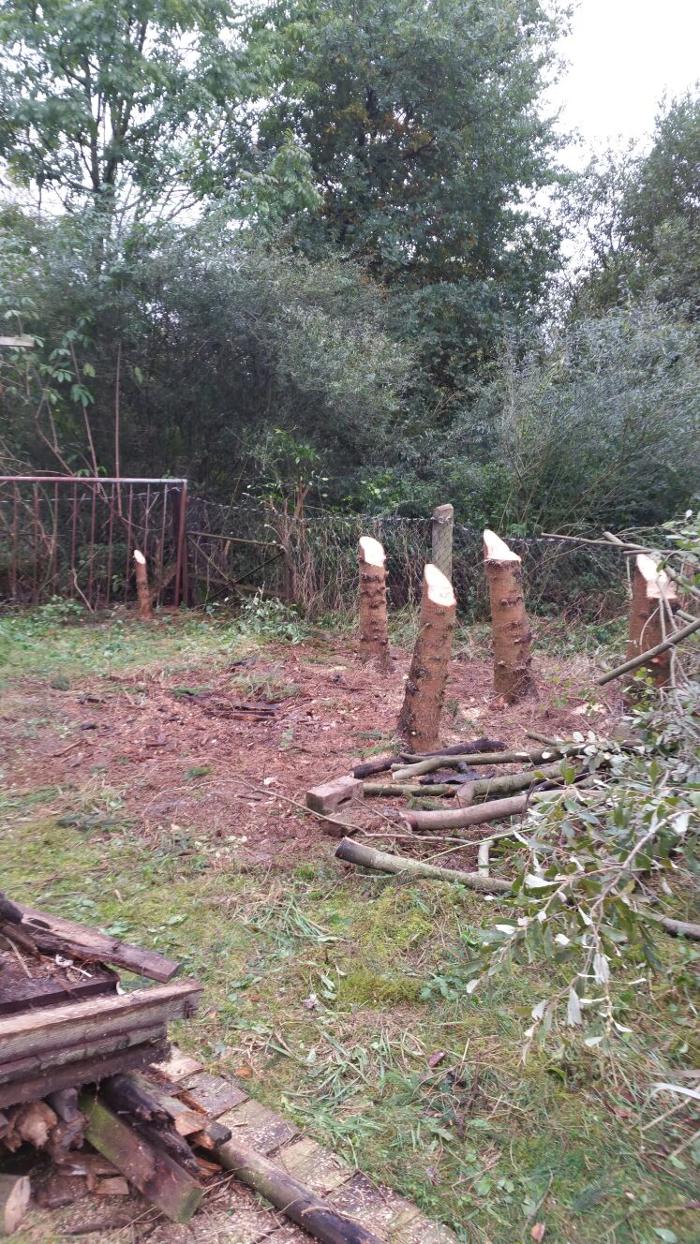 Lange´s Service in Roskow