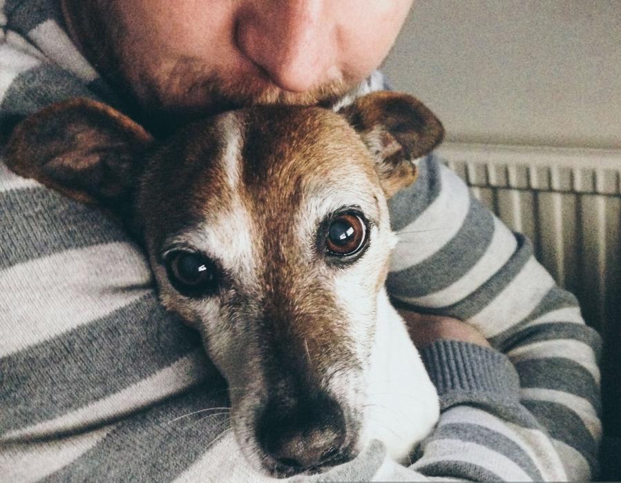 Forever Loved Veterinary Services Image