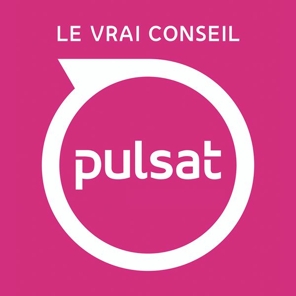 PULSAT électroménager (détail)