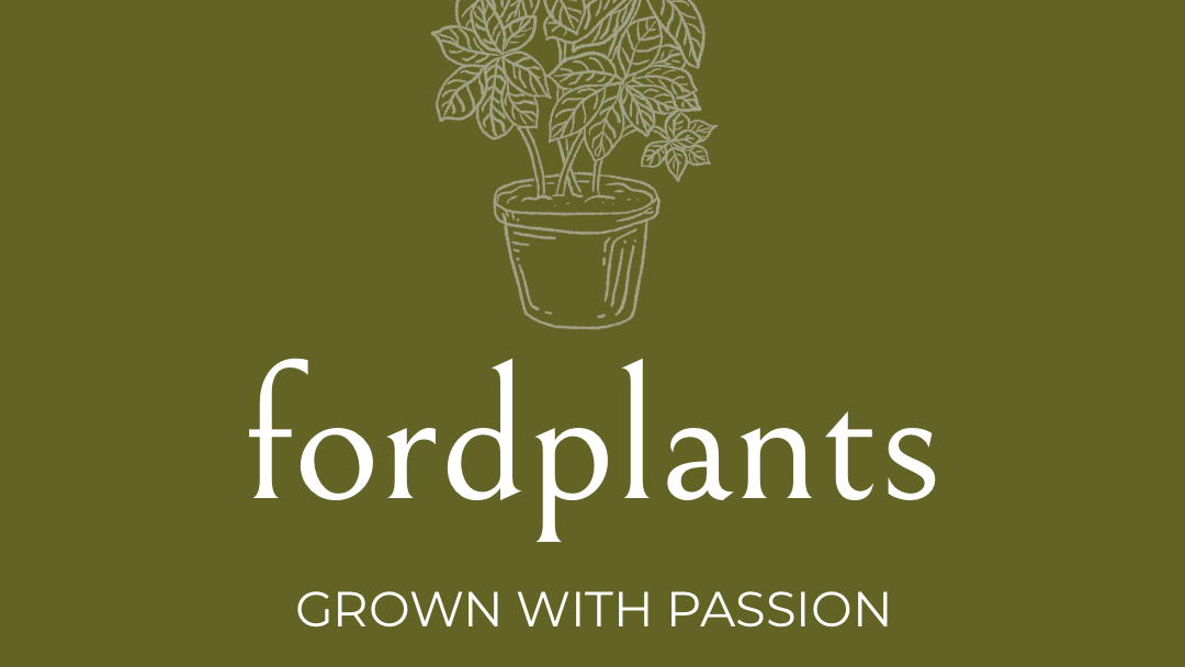 fordplants, Am Egart in Bad Aibling