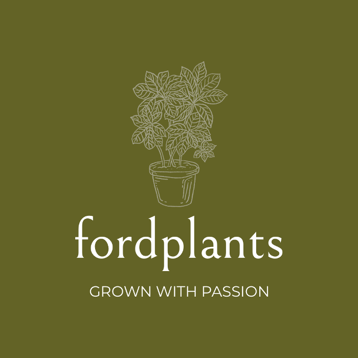 fordplants in Bad Aibling