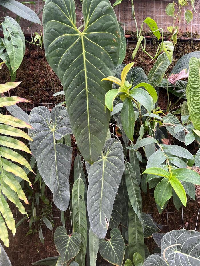 fordplants, Am Egart in Bad Aibling