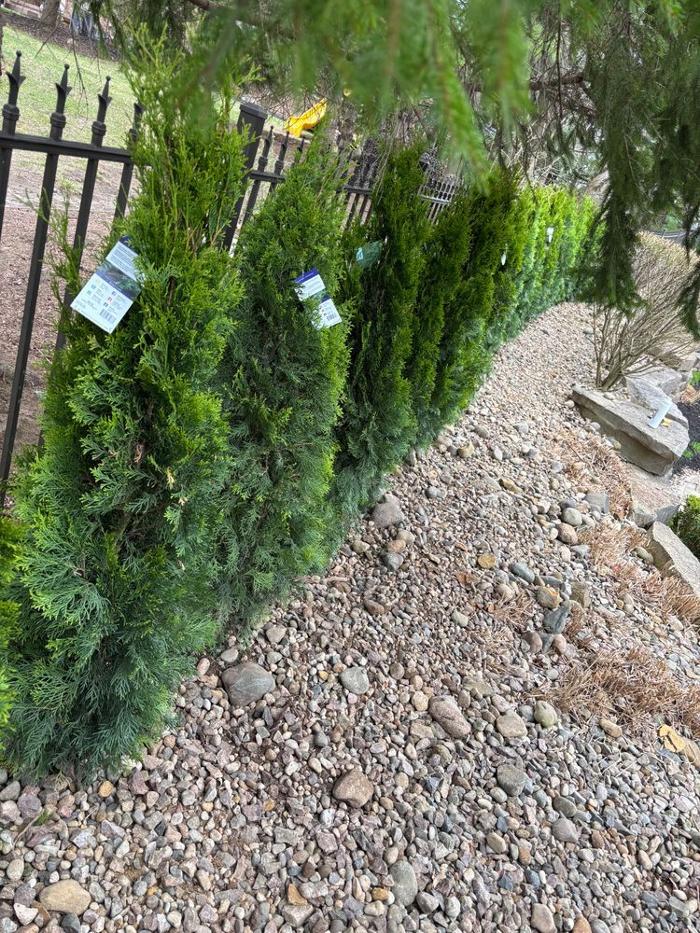 Denali Outdoor Services - Washington, MI