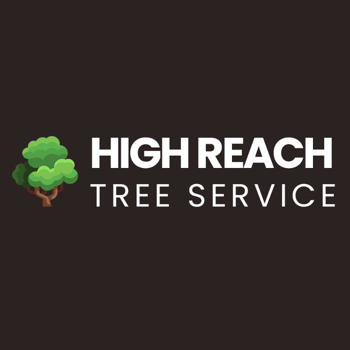 High Reach Tree Service - Ocala, FL
